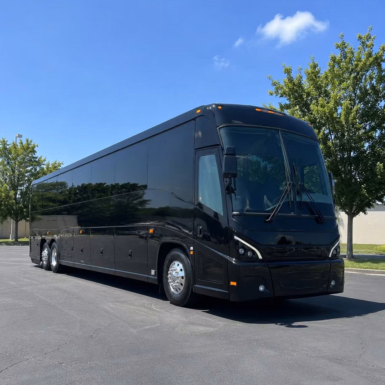 ada accessible and specialized government transportation available in edison